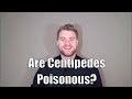 Are Centipedes Poisonous