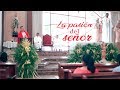 Domingo De Ramos 2019 | Domingo 14 De Abril De 2019 | Santa Misa