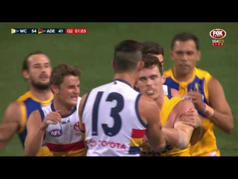 Round 12 AFL Highlights - West Coast v Adelaide