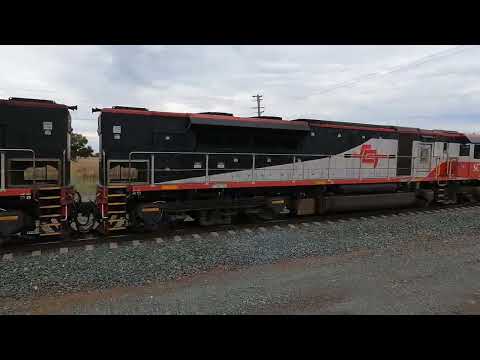 SCT002 & SCT015 Nelungaloo NSW.  Sun 29th Jan 2023