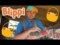 Blippi Visits A Farm And Finds Animals Animals For Kids Educational Videos For Children
