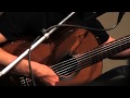 Ottmar Liebert.flv