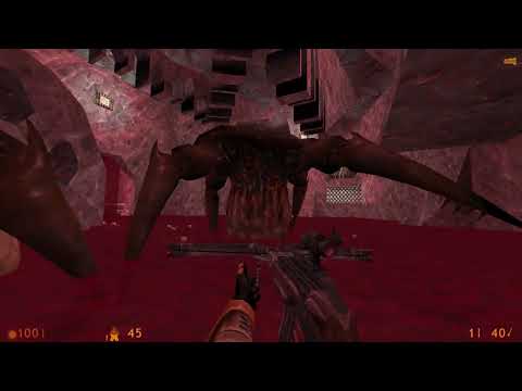 Half-Life: Prison - Part 8 (Entered Episode 11 + Starting to Run Low on Ammo and Battery)