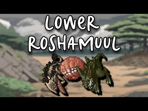 TIBIA | RP LEVEL 302 LOWER ROSHAMUUL | 3.9KK XP/HR 350K PROFIT