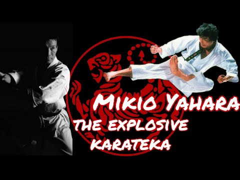 The explosive karateka | Mikio Yahara  | tribute