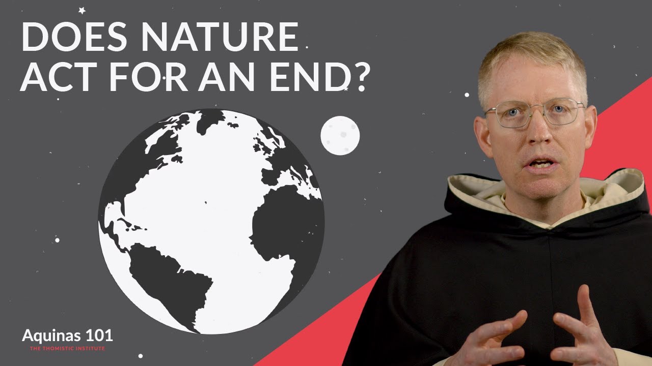 Final Causality (Aquinas 101)