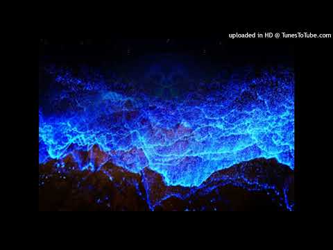 Kelson Most Wanted - Minha Sina