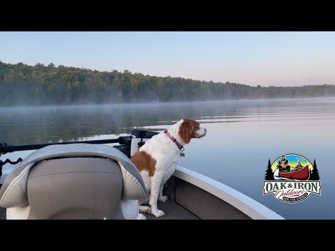 Tips for Buying a Used Boat & How to Avoid a Lemon