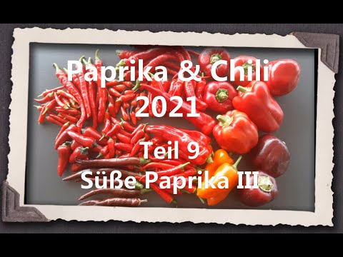 , title : 'Paprika & Chili 2021 Teil 9 - Süße Paprika III'