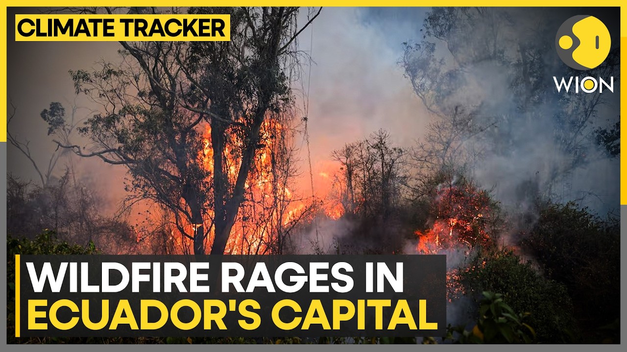 Wildfire Rages In Ecuador: Helicopters Battle Blaze Threatening Quito, Dozens Evacuated |WION