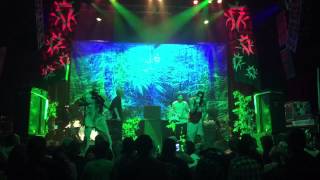 Kottonmouth Kings &quot;Sub-Noize Rats &quot; Live