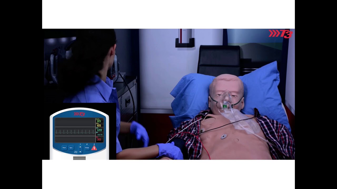 SIMVS Simulation Monitor System
