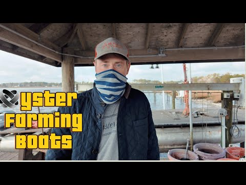 Oyster farming boats 101: What makes the perfect work horse?