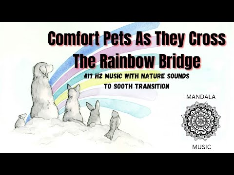 Music For Dying Pets | The Rainbow Bridge | 417Hz | Soothing Music | Reiki | Music For The Dying
