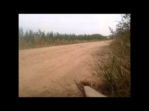 Formula 1 kicsit másképp - Universal 445