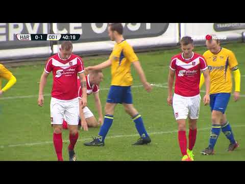 Samenvatting Harkemase Boys - ODIN'59