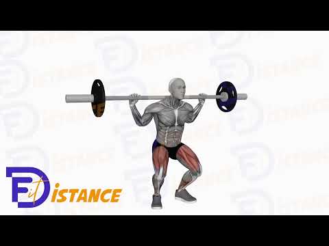 Exercice Squat avec barre