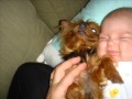 Olivia Grace Memories