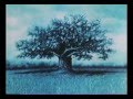 Gravity Ferenc Rofusz 1984 H 264 480p Flv