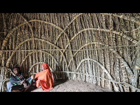 House of a Thousand Knots - the Bentwood Architecture of the Orma Women Builders.