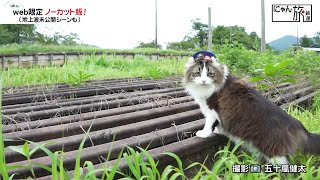 Vol.78「にゃん旅鉄道」探検にゃ♪