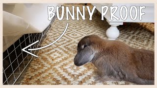 Bunny Proofing Tips