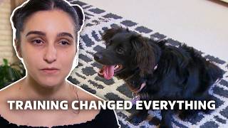 The Rescue Dog Nobody Could Handle | Rescue Dog to Super Dog USA | S1 E3 | Our Stories