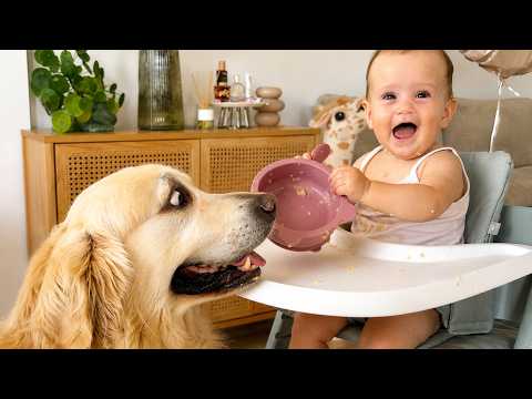 YouTube 썸네일