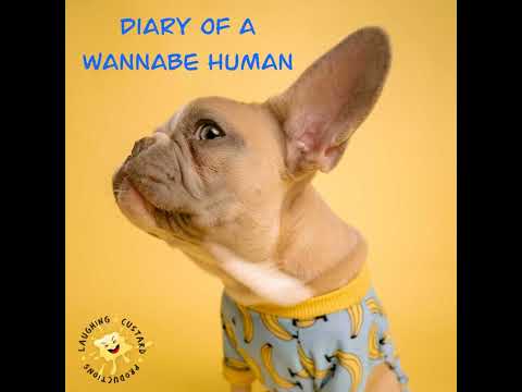 Ep291 - The King's Head Theatre