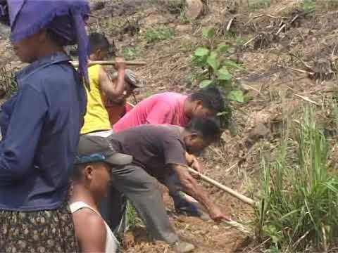 Puhpa J.Vialua ~ 'A laipa lai lao, aleihpa lei lao..!'