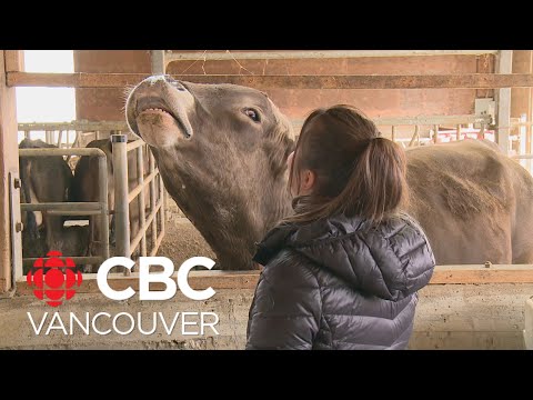 Multi-generational farming crucial for food security