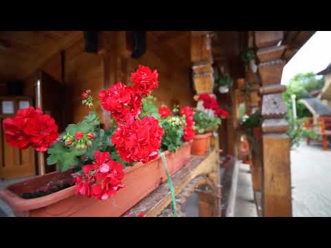 BISERICA SF. MINA MANGALIA