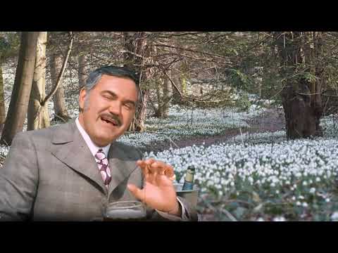 PRIMUL GHIOCEL, PRIMA ÎNTÂLNIRE cu Dem Rădulescu 🎭 Teatru Radiofonic Subtitrat