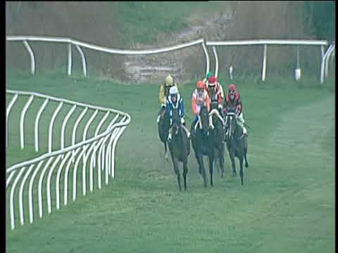 Galoppo 22/11/2017 - 4ª corsa