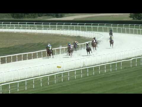 2017.06.11. 1. futam - NYERETLENEK VERSENYE (V.kat.) I. rész (szintetikus pálya)