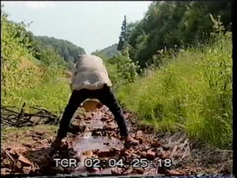The gold panning in the Bucium valley (Transylvania)