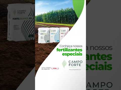 Reels Campo Forte 02