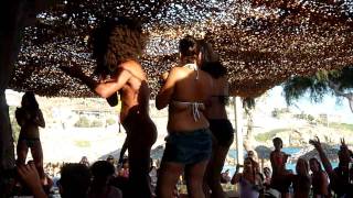 Elephant Thong Tropicana