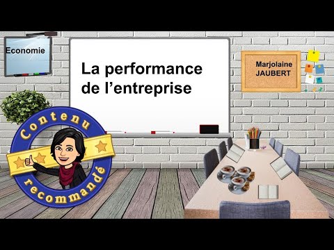 Les dimensions sociale et environnementale de la performance de l'entreprise