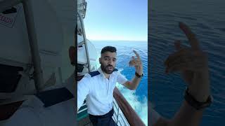 Top speed 😳 of Cruise Ship 🚢 #ship #shipjob #cruiseship #cruiseships #shortsvideo #viral #fyp