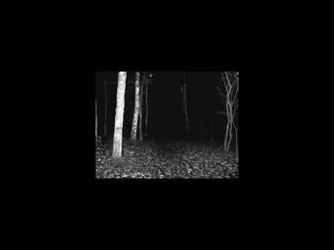 [FREE] | "Malice" | Distorted SCARLXRD Type Beat X GHOSTMANE Type Beat | Free Chronyc Type Beat 2019