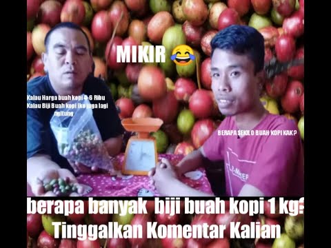 Eksperimen Menghitung buah kopi basah
