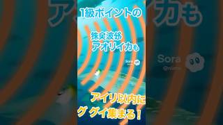 【ファン待望】アオイリイカ専用集魚マシン「イカ寄せMAX Days」 #エギング #アオリイカ #釣り #釣果アップ
