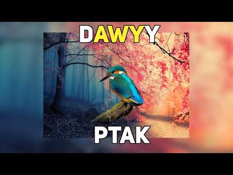 Dawyy - Ptak (prod. Pilgrim)