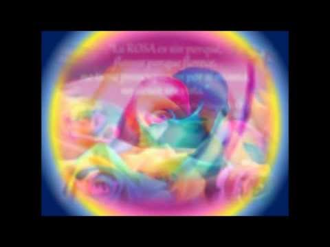 A Rose among Thorns ~ Ennio Morricone & Dulce Pontes ~