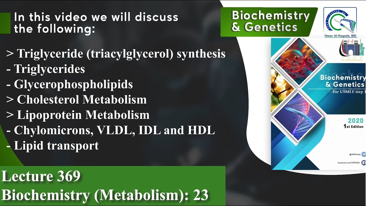 Triglycerides | Cholesterol Metabolism | Lipoprotein Metabolism | Lipid transport