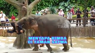 Download lagu Menyapa Rimba Di Taman Satwa | SI OTAN (18/12/24) Part 1 mp3 Download lagu Menyapa Rimba Di Taman Satwa | SI OTAN (18/12/24) Part 1 mp3