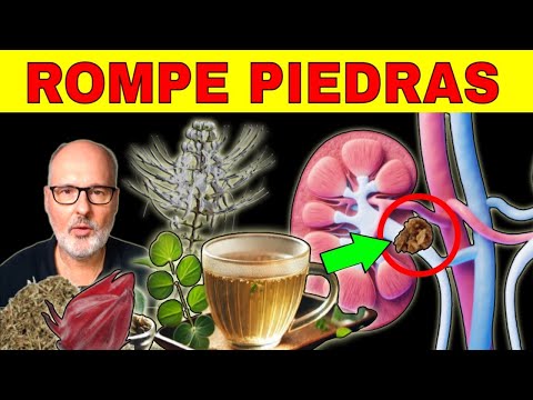 Las 12 Hierbas que Disuelven Piedras en los Riñones