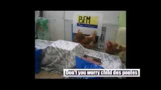 Don't you worry child des poules new