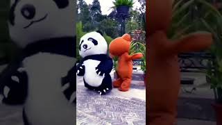 Download lagu Cute funny panda 🐼 #shorts #viral #ytshorts mp3 Download lagu Cute funny panda 🐼 #shorts #viral #ytshorts mp3